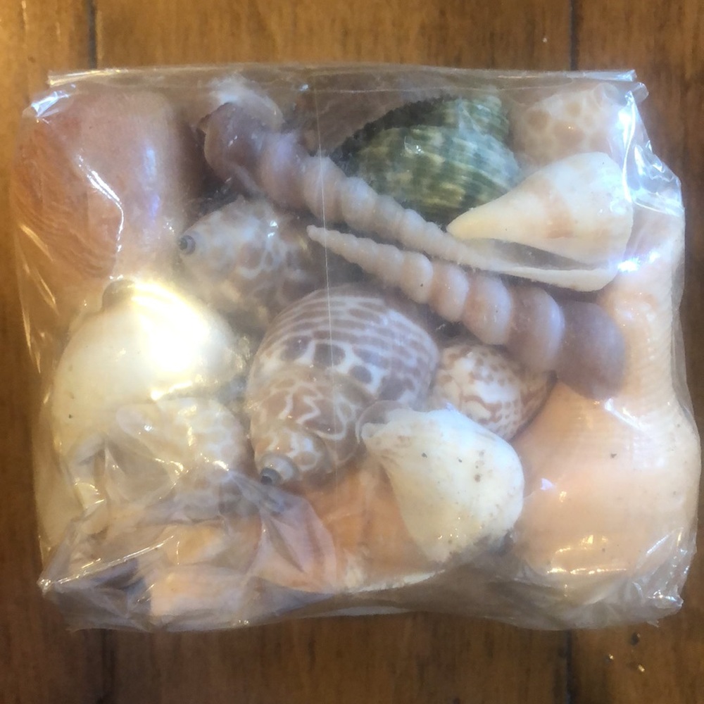 Shells- Decorative Pack - Picture 2 of 6
